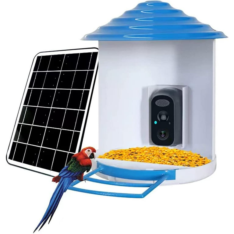 Achetez en gros Smart Bird Feeder Avec Chargeur D'oiseaux à énergie Solaire Avec  Caméra Automatique De Capture Vidéo Ai Chine et Mangeoire à Oiseaux à 65  USD