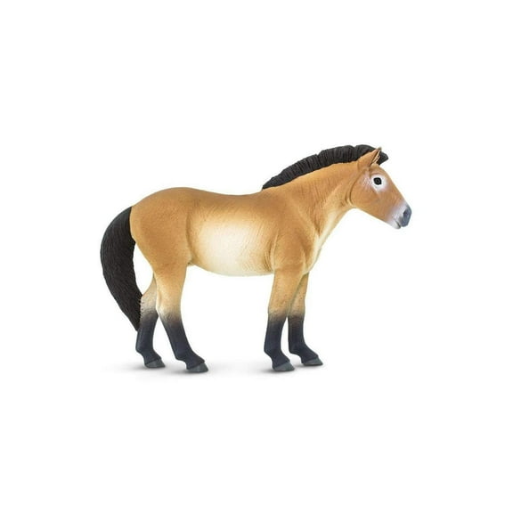 Safari Ltd. Przewalski's Horse Figurine - Lifelike 5" Horse Figure - Educational Toy for Boys, Girls, and Kids Ages 3 