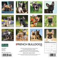 thumbnail image 2 of Just French Bulldogs 2024 12 X 12 Wall Calendar (Other), 2 of 4