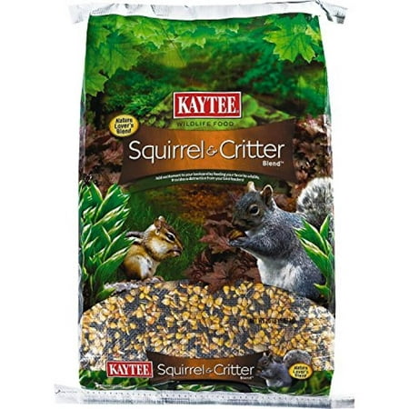 Kaytee Squirrel and Critter Blend, 20-Pound (Best Food For Wild Squirrels)