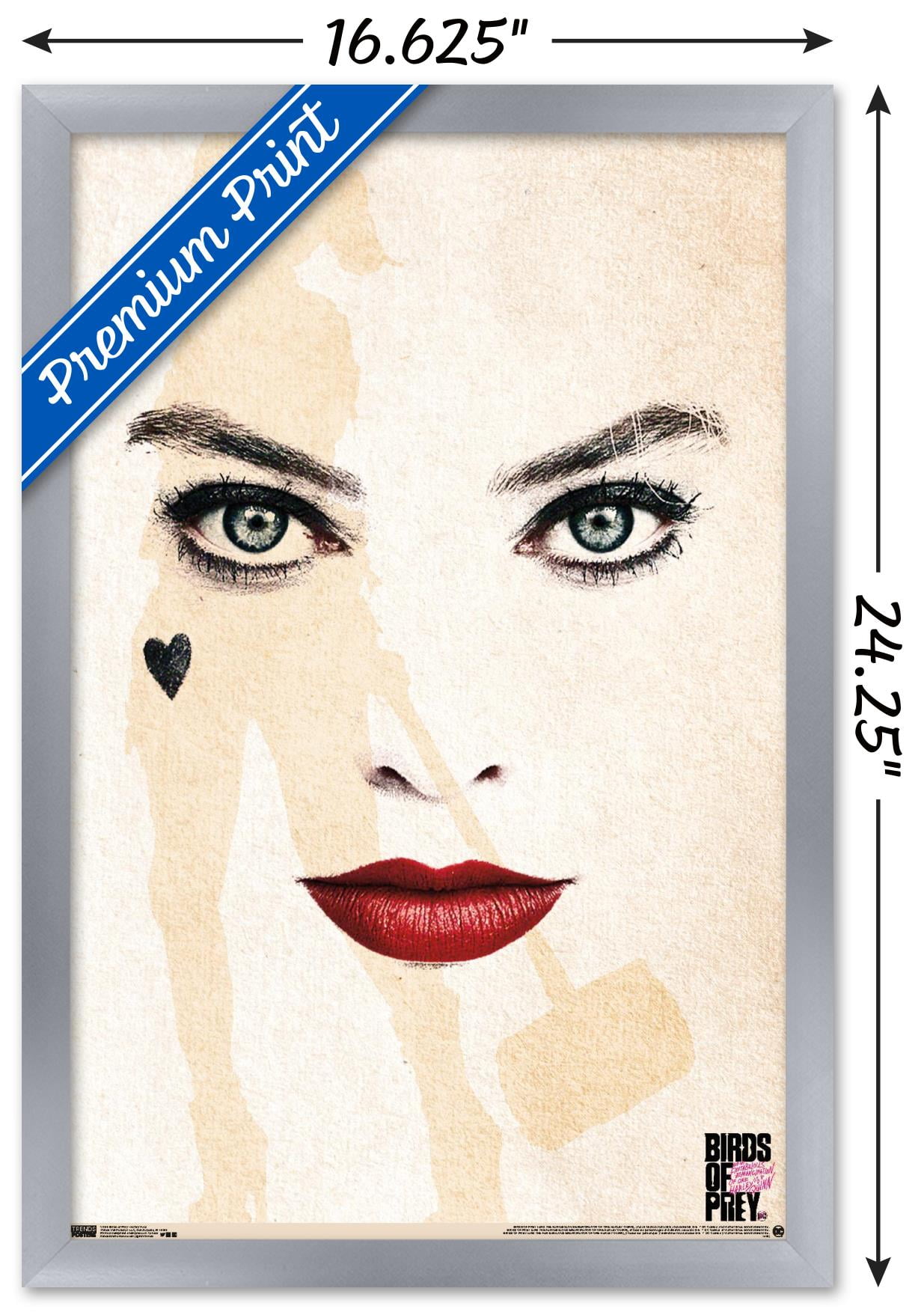 DC Comics Movie - Birds of Prey - Harley Quinn - Face Wall Poster, 14.725" x 22.375", Framed