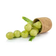 10 INDIAN GOOSEBERRY Phyllanthus Emblica Emblic Edible Fruit Tree Seeds