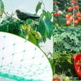 thumbnail image 3 of Anti Bird Netting Garden Protection Netting Mesh Protect Plants Fruit Trees from Rodents Birds, 3 of 8