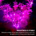thumbnail image 2 of Solarera Waterproof Solar Powered Phalaenopsis Flower Lights, Purple, 2 of 7