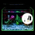 thumbnail image 4 of JUNWELL 1 Set Mini Mute Fish Tank Oxygen Pump Plastic Aerator Pump USB Aquarium Air Pump, 4 of 8