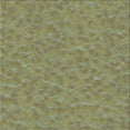 thumbnail image 1 of Ahgly Company Machine Washable Indoor Square Transitional Iguana Green Area Rugs, 5' Square, 1 of 7