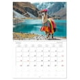 thumbnail image 6 of Llamas on tour. Peru's fluffy fashion icons (Monthly Wall Calendar 2026 16.5 x 23.4 (open)), CALVENDO 14 Month Calendar, 6 of 9