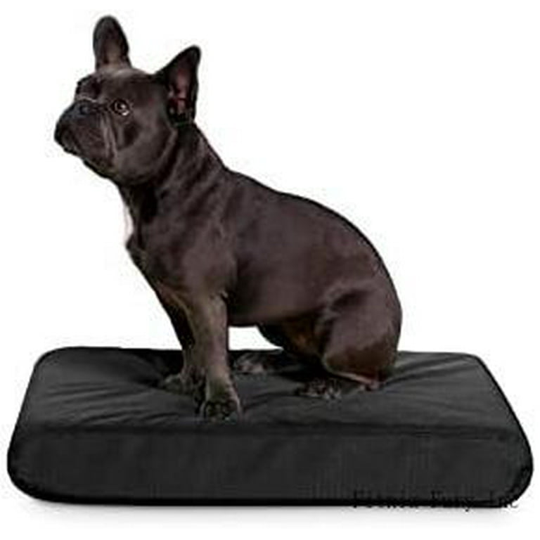 Tough pedic Dog Bed Small Nearly Indestructible & Chew Proof, Washable  Pillow For Chewing Puppy - For Size S Dogs 24X18, Obsidian Black 