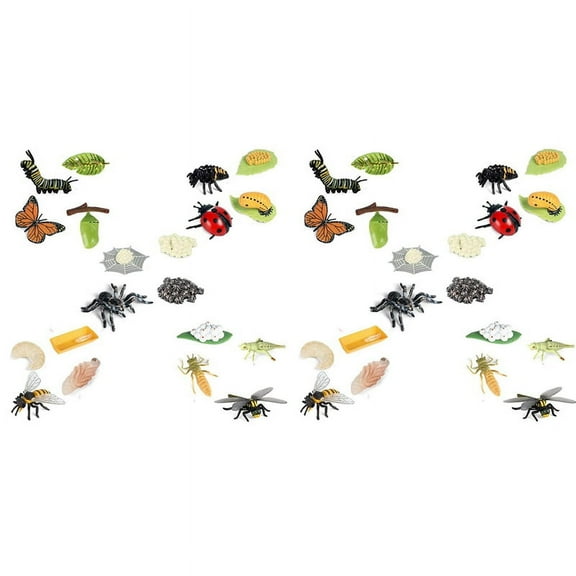 40X Life Cycle Figurines of Butterfly Spider Bee Ladybug Dragonfly, Plastic Insect Bug Figures Toy, for Kids
