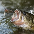 thumbnail image 5 of MInHoues Floating Crankbait Fishing Lure, 1.77" Hard Plastic Artificial Swimbait with Treble Hooks, Realistic Wobbling Bait for Bass and Trout, Freshwater Saltwater Tackle Gear, 5 of 5
