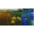 thumbnail image 3 of Jasper, Sisa 18x11 Black Modern Framed Museum Art Print Titled - 36x72 Wildflower Panorama (ASH), 3 of 5