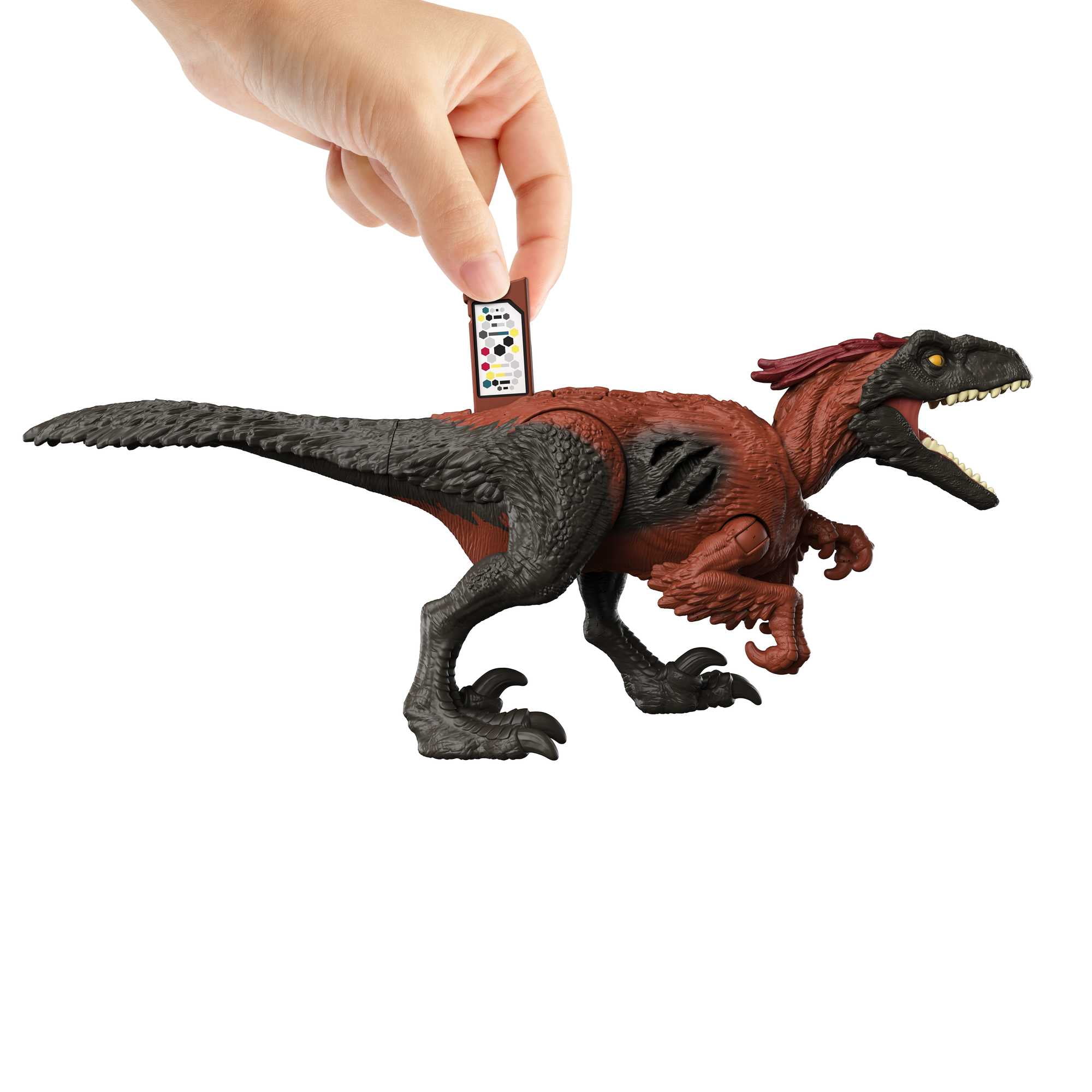 Imagen de producto 6