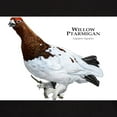 thumbnail image 3 of CafePress - Willow Ptarmigan Dark T Shirt - Men's Classic Graphic Cotton T-Shirt, 3 of 4