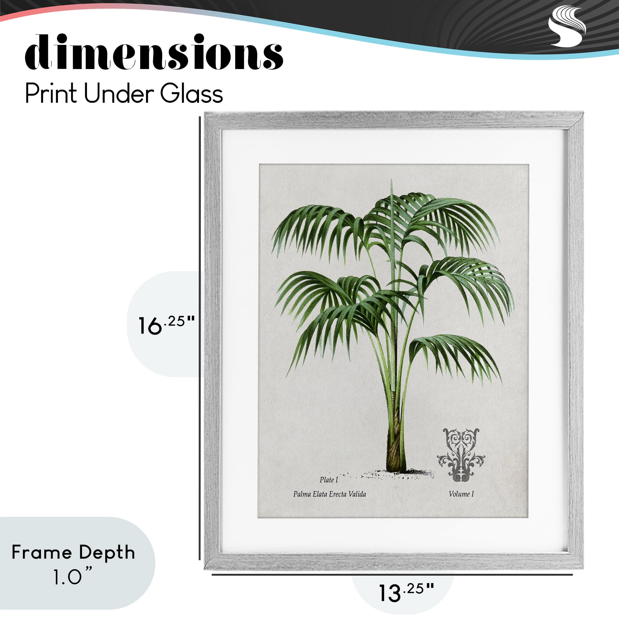 Stupell Industries Natural Palm Study Gray Framed Print Under Glass, design by Val Rhodes