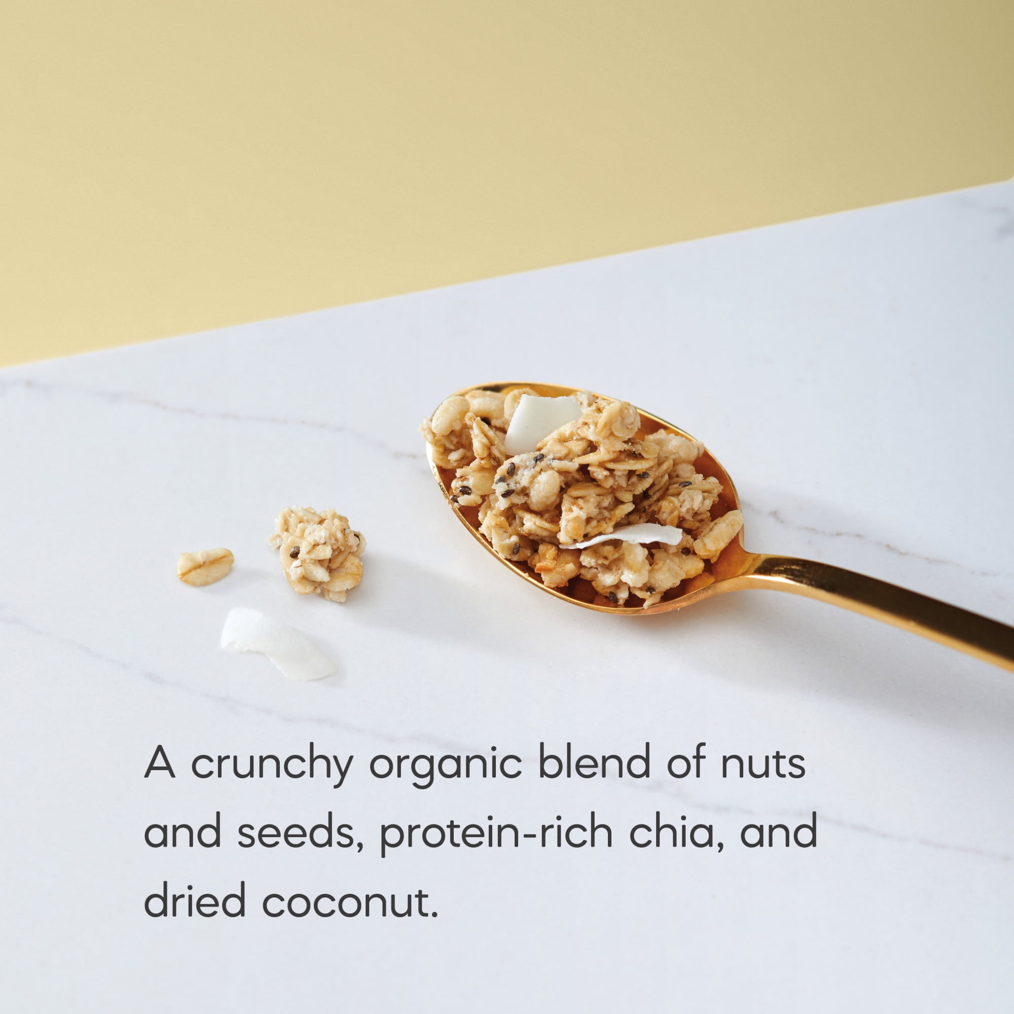 (3 pack) Nature's Path Organic Granola, Coconut Chia, 12.34oz Box