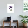 thumbnail image 3 of Art.com Purple Gentian Triplet Premium Giclee Print by Albert Koetsier, White Frame Wall Art, 23" x 29", 3 of 5