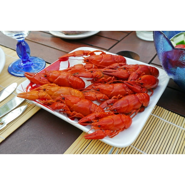 Red Cancer Food Eat Summer Court Eat Crab Crabs-12 Inch BY ...