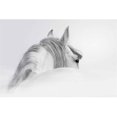 thumbnail image 1 of Vetro de Arte - Blanco, 1 of 1