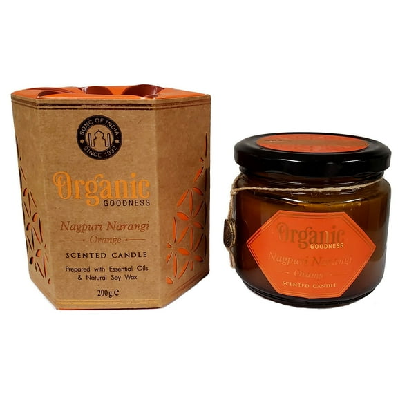 Song of India Organic Goodness Orange Scented Soy Candle New