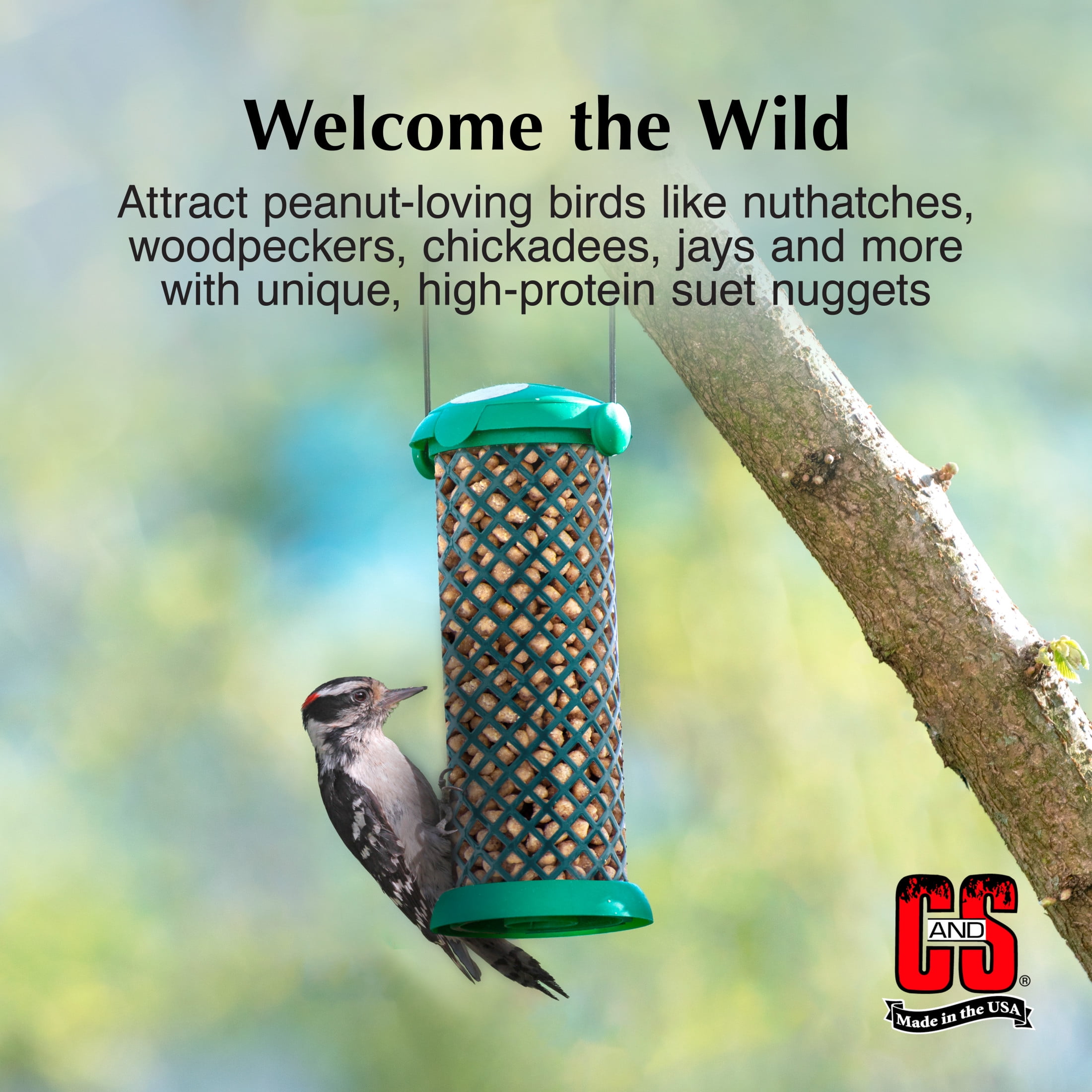 (2 pack) C & S Products Peanut No-Melt Suet Nuggets, 27 oz, Wild Bird Food, Fresh, 1 Pack