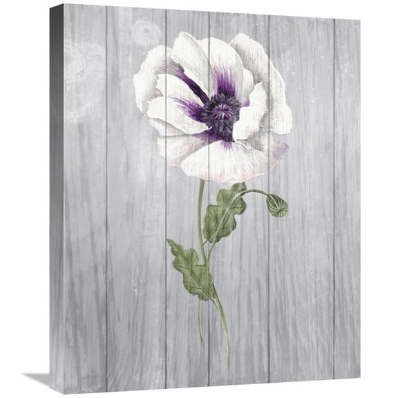 Global Gallery's 'Poppy II' by Elyse DeNeige Stretched Canvas Wall Art