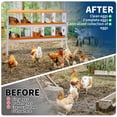 thumbnail image 6 of EuKer 10-Holes Chicken Nesting Box with Bracket, Heavy-Duty Metal Laying Boxes for Backyard, Farms, Chicken Coop, Orange, 6 of 7