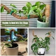 thumbnail image 2 of IC ICLOVER [Paquete de 4] Poste de Musgo para Plantas Monstera, Postes de Musgo Flexibles de 28 Pulgadas para Plantas Trellis de Interior, Estacas de Plantas de Jardín con Cinta para Plantas en Macetas, Potos, 2 of 7