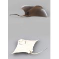 thumbnail image 4 of Simulated Sea Life Animals Figurines Realistic Sea Creature Model Plastic Ocean Animals Action Figure for Collection Science Educational (Mobula), 4 of 4