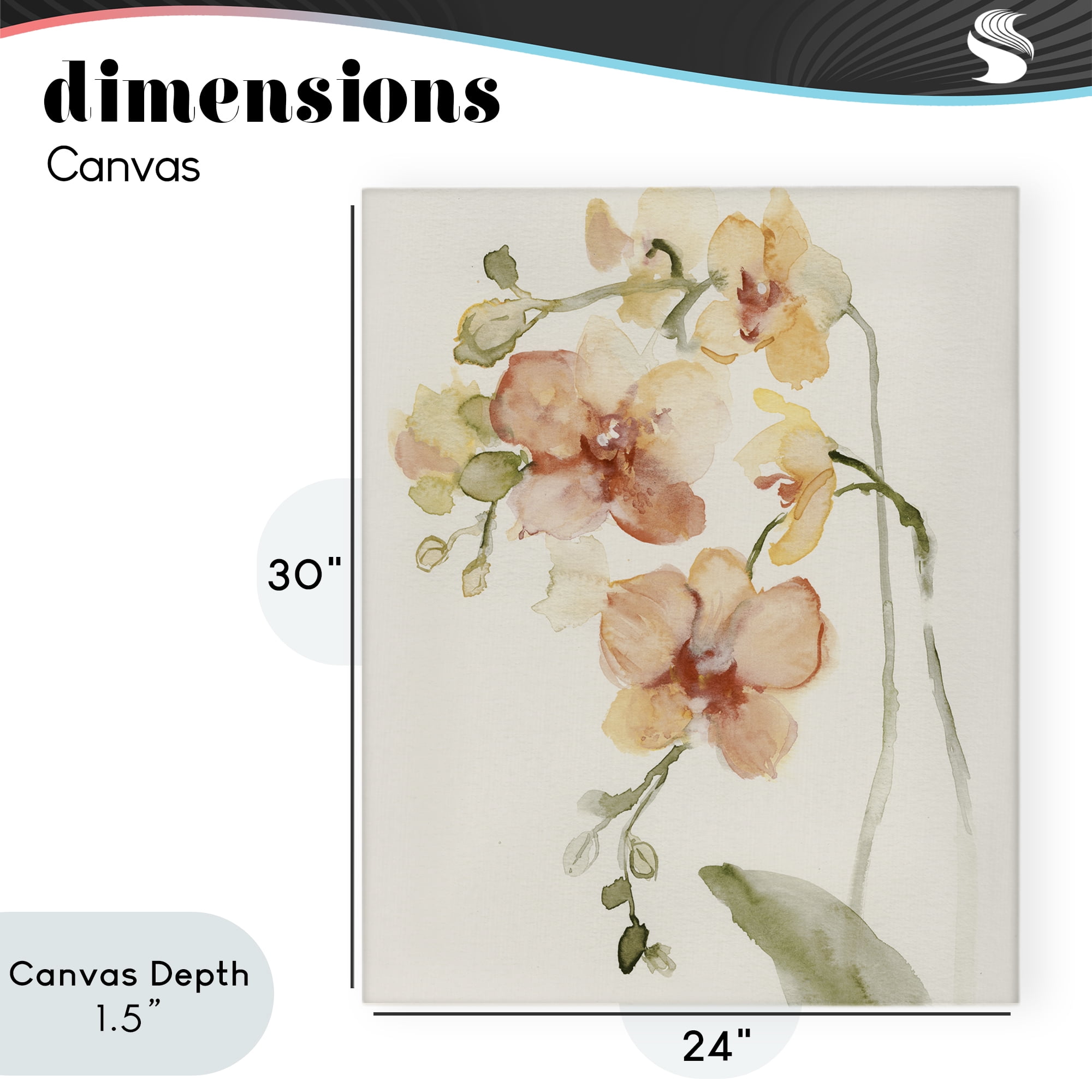 Stupell Industries Peach Orchid in Bloom Canvas Wall Art, design by Victoria Barnes