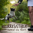 thumbnail image 2 of Fruitables Skinny Mini Dog Treats – Grilled Bison – Dry Biscuit – 12oz, 2 of 8