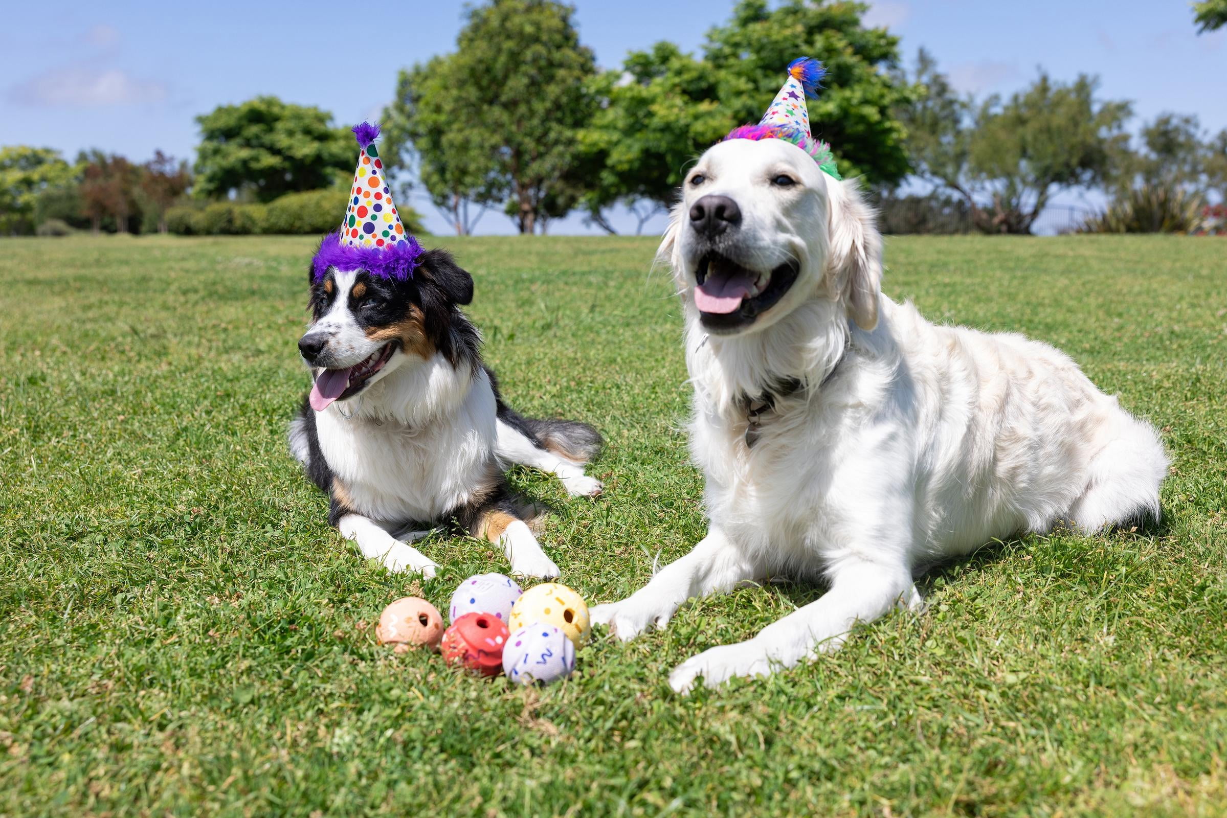 Chuckit! Birthday Dog Balls, Large 3", Pack of 2 – Birthday‑Scented Rubber Fetch Toys for Dogs 60–100 lb