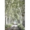 thumbnail image 2 of Kimberly, Allen 13x18 Gold Ornate Wood Framed with Double Matting Museum Art Print Titled - Covered Path, 2 of 4