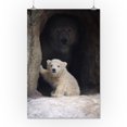 thumbnail image 2 of Polar Bear Cub in Cave (16x24 Giclee Gallery Art Print, Vivid Textured Wall Decor), 2 of 3