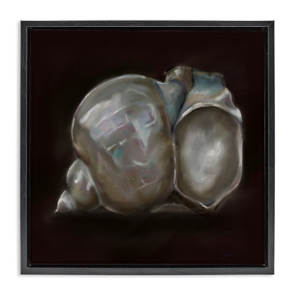 Stupell Industries Coastal Treasure Of Sea Shell Black Floating Frame Canvas Art, 18 x 18, by Mary Sparrow