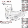 thumbnail image 4 of 2024 Dental Orthodontic Teeth Corrector Silicone Braces Retainer Straighten Tools Teeth Capped for Adults, 4 of 5