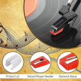 thumbnail image 5 of 6pcs Vinyl Turntable Needle For Record Player Pickup Needles Turntable Cartridge Stylus For Vinyl D, 5 of 5