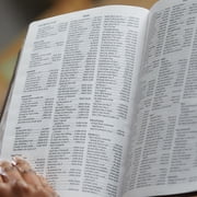 KJV, Reference Bible, Personal Size Giant Print, Bonded Leather, Burgundy, Red Letter Edition (Large Print) (Hardcover)