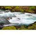 thumbnail image 2 of Taylor, Douglas 18x13 White Modern Wood Framed Museum Art Print Titled - Rainforest River II, 2 of 4