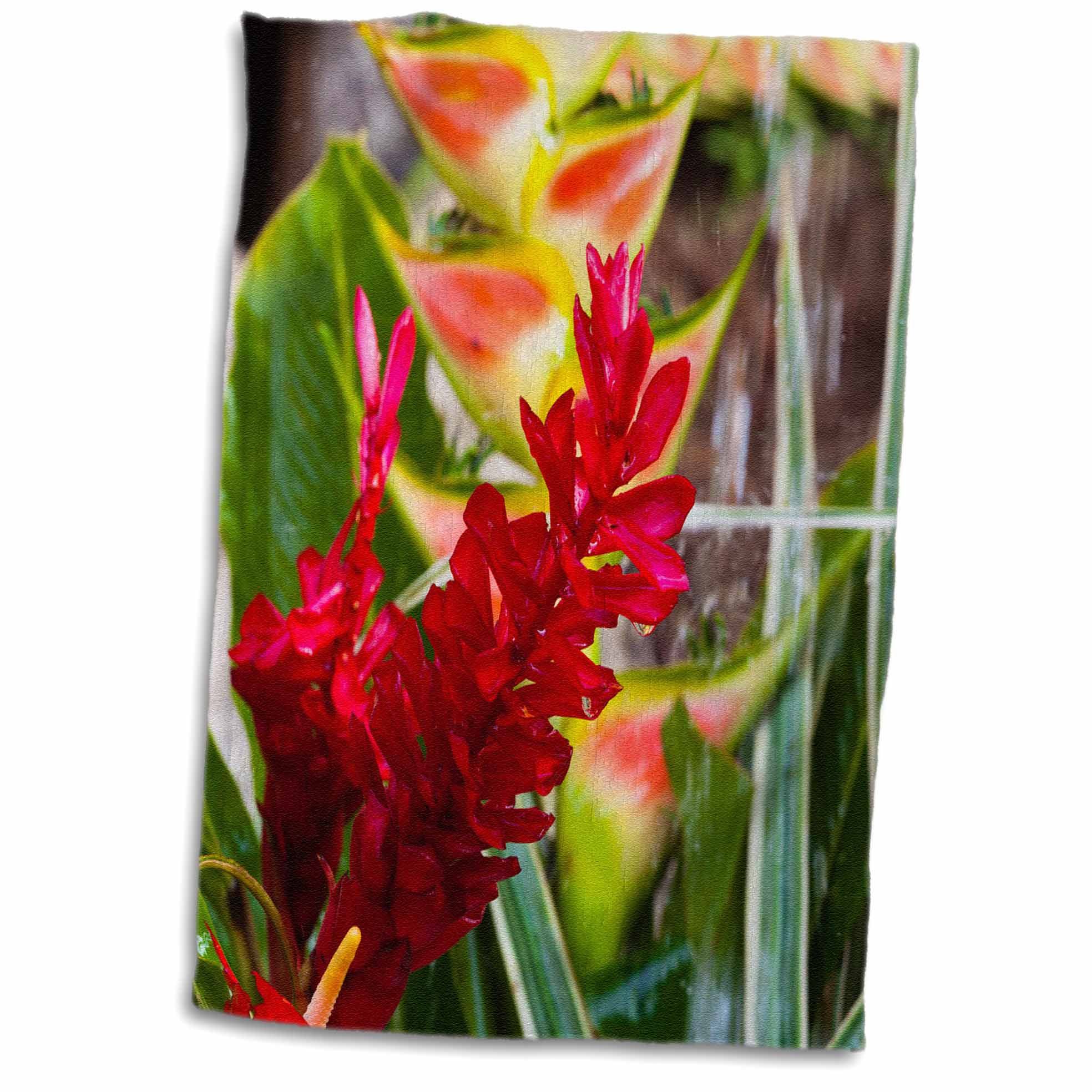 Heliconia red Ginger flowers-CA13 WBI0058-Walter Bibikow Towel 15 x 22 3dRose Dominica Roseau