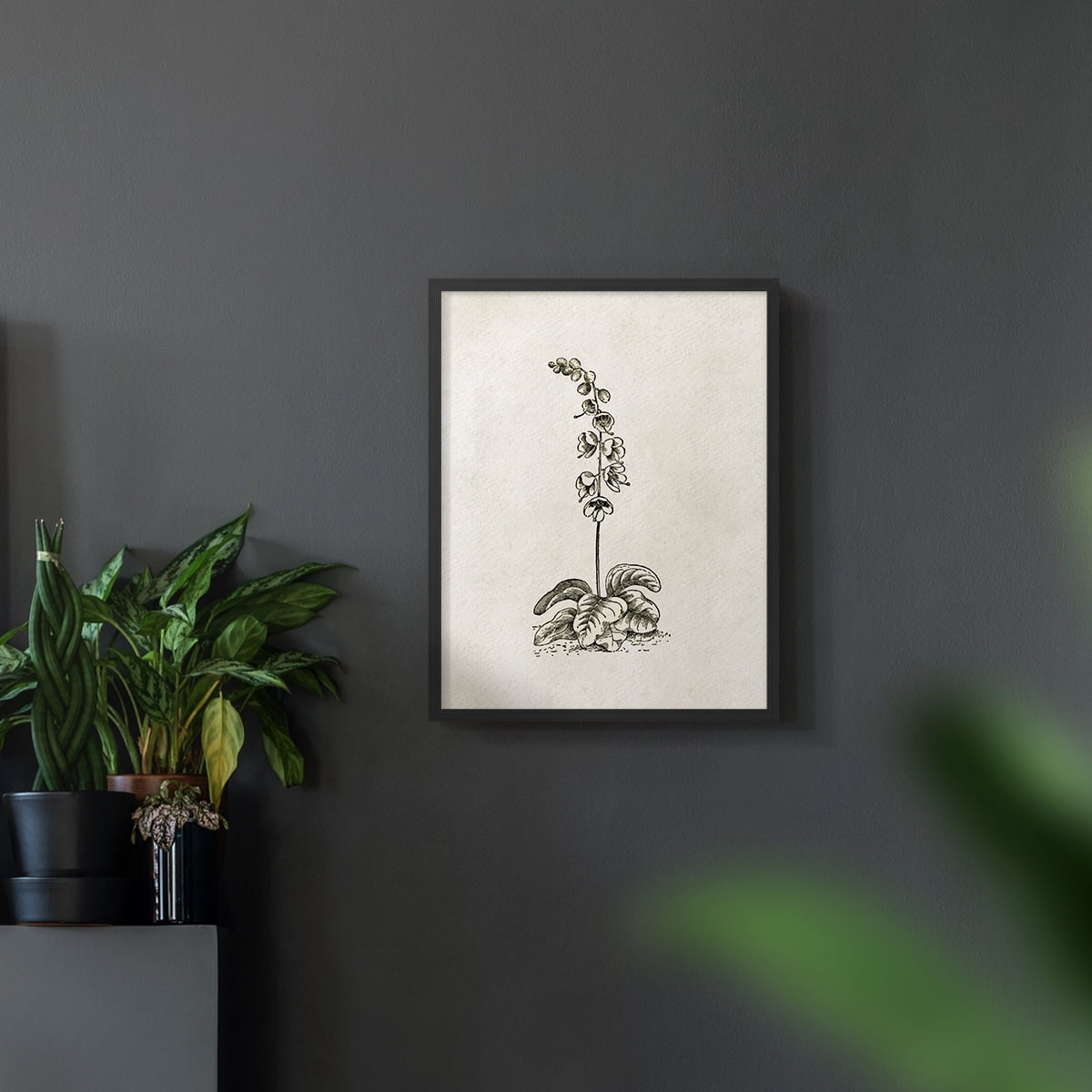 Vintage Floral Print CCCXIX - 14in. x 11in. Vintage Framed Print in Black Wood Frame