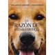 thumbnail image 1 of La Razon De Estar Contigo Pelicula Original Dvd Universal DVD, 1 of 2