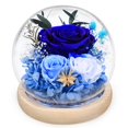 thumbnail image 1 of Rosa preservada FIACO Forever Fresh Flowers en cúpula de cristal, 1 of 7
