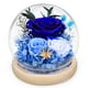 thumbnail image 1 of Rosa preservada FIACO Forever Fresh Flowers en cúpula de cristal, 1 of 7
