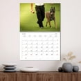 thumbnail image 3 of Malinois - Strong drive dogs with a lot of heart (Monthly Wall Calendar 2026 16.5 x 23.4 (open)), CALVENDO 14 Month Calendar, 3 of 9