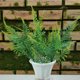 thumbnail image 4 of Gwong Decoración hogareña 1 Ramo Artificial Green Plant Conveniente Vivid Vivid Multifuncional No Fading Simulación Espárragos Para Decorar Gwong 28586, 4 of 5