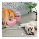 thumbnail image 4 of Bebedero Dispensador Automático de Agua Elegate Para Mascotas Rosa, 4 of 5