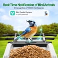 thumbnail image 2 of Comedero inteligente para aves Faddial 2K HD con cámara WiFi IA y energía solar, 2 of 7