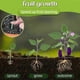 thumbnail image 2 of 36x Plant Nutrition Bars Nitrogen Phosphorus Potassium for Healthy Growth of Plant Fruit Vegetables Flowers Compound Fertilizer, 2 of 5