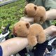 thumbnail image 1 of Rytanda Capybara-pulsera de felpa con cierre a presión para niños, anillo de mano, círculos Pop divertidos, regalo de Navidad, 1 of 1