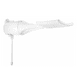 thumbnail image 1 of Regadera eléctrica de pared Lorenzetti Shower Ultra negro, 1 of 10